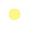 🟡