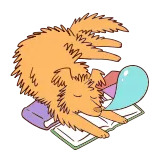 🐶 dog, sleeping, books, cute, animal, tired telegram sticker
