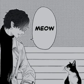 👁‍🗨 MEOW chat, manga, anime, miaou, bulle, humain telegram sticker