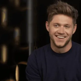 🎸 Niall Horan niall horan, cantor, celebridade, retrato, one direction telegram sticker