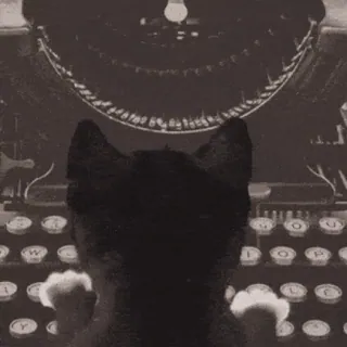 ⌨️ cat, typewriter, typing, animal, vintage, black cat telegram sticker