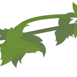 🌿