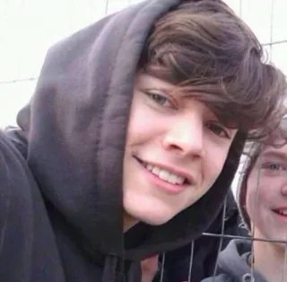 😁 Harry Styles celebrity, portrait, person, singer, Harry Styles telegram sticker