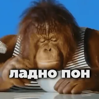👌 ЛАДНО ПОН macaco, primata, russo, texto, animal, meme whatsapp sticker