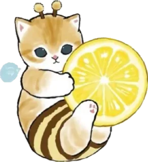 🐝 gatinho, limão, abelha, gato, fofo, animal, amarelo telegram sticker