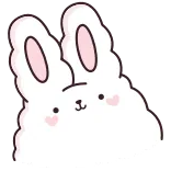 🐰
