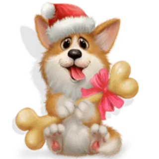 🙃 cachorro, corgi, Natal, gorro de Papai Noel, osso, fofo, desenho animado, animal, animal de estimação whatsapp sticker