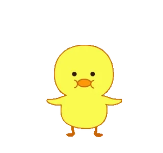 🐥 pato, pintinho, animal, fofo, desenho animado, amarelo, pássaro telegram sticker