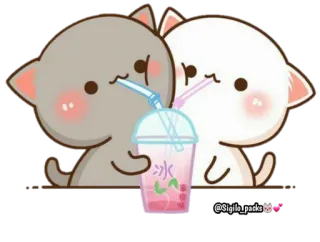 🥤 gatos, lindo, kawaii, animales, bubble tea, pareja telegram sticker