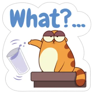😒 What?... chat, question, orange, eau, dessin animé, mignon telegram sticker