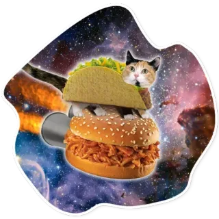 🍔 แมว, ทาโก้, เบอร์เกอร์, อาหาร, ตลก, แซนวิช, อวกาศ, กาแล็กซี telegram sticker