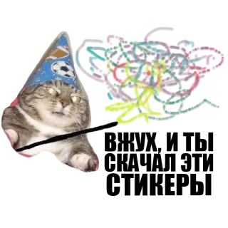 ✨ kat, tovenaar, magie, feestmuts, humor, grappig, meme telegram sticker