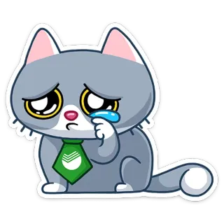 😢 kot, płacz, smutny, słodki, naklejka telegram sticker