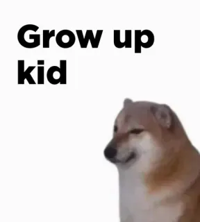 😃 Grow up kid doge, 개, 밈, Cheems, 성장, 아이, 모욕 telegram sticker