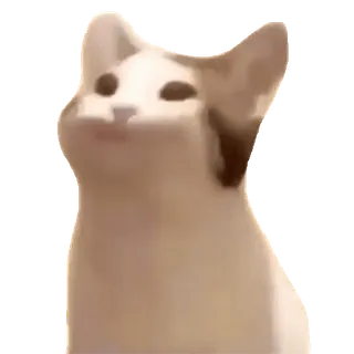 😁 cat, popcat, meme, animal telegram sticker