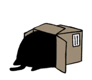 🙄 kat, doos, kitten, speels, dier, huisdier telegram sticker