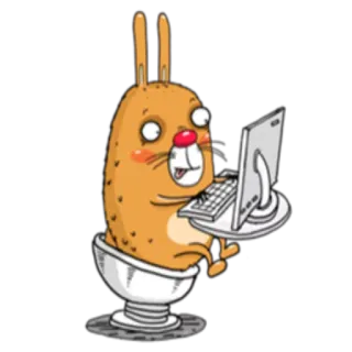 💻 coniglio, computer, divertente, cartone animato, animale, carino whatsapp sticker