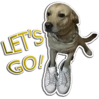 🚶‍♂️ LET'S GO! dog, pet, shoes, go, yellow labrador telegram sticker
