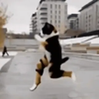 🤩