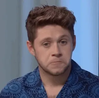 🎸 Niall Horan cantor, celebridade, músico, Niall Horan telegram sticker