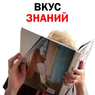 😜 ВКУС ЗНАНИЙ reading, book, knowledge, train, magazine telegram sticker