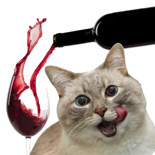 🍷 cat, wine, drink, pet, alcohol, cute telegram sticker