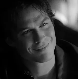 ▪️ Damon Salvatore The Vampire Diaries mężczyzna, portret, aktor, wampir, serial TV telegram sticker