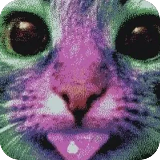 ❤ cat, kitten, feline, animal, pet, neon, glitch, macro telegram sticker