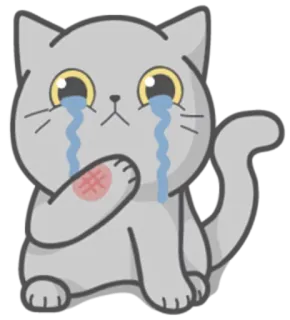 😭 kat, huilen, verdrietig, gewond, cartoon, sticker telegram sticker