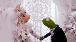 👰 Kermit the Frog The Muppets свадьба, брак, Кермит, мисс Пигги, Маппеты, невеста, жених telegram sticker