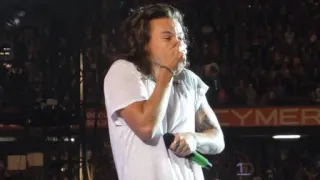 😶 Harry Styles singer, musician, artist, performer, concert, stage, male telegram sticker