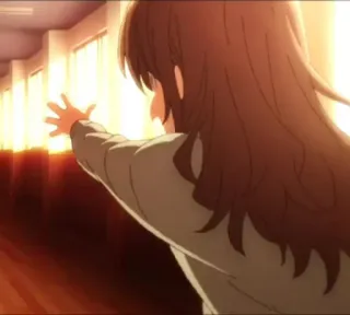 😾 telegram sticker