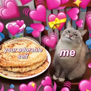 ❤️ your adorable self
me chat, adorable, mème, mignon, crêpes, cœur, amour telegram sticker