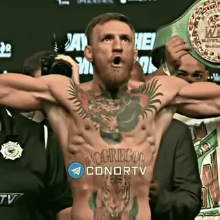 🦁 Conor McGregor CONORTV boxing, fighter, UFC, sports, championship telegram sticker