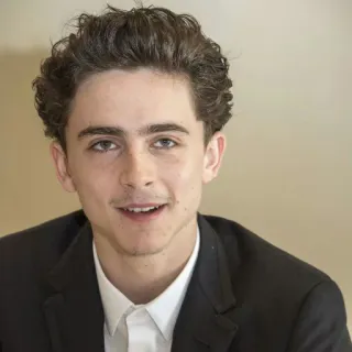 😐 Timothée Chalamet ator, celebridade, retrato, pessoa, homem telegram sticker