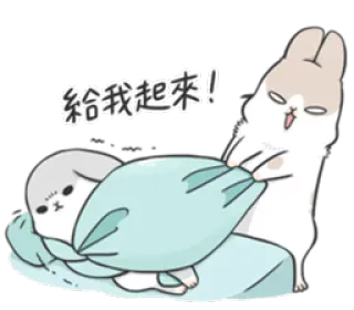 🐰 給我起來！ kelinci, bunny, bangun, mengantuk, kartun, hewan telegram sticker