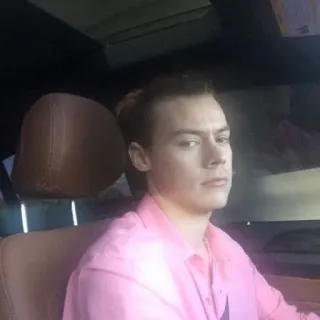 😐 Harry Styles singer, celebrity, pop star, portrait, pink shirt, man telegram sticker