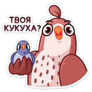 🐦 ТВОЯ КУКУХА? ptak, zwierzę, kreskówka, śmieszne, mem, rosyjski, slang telegram sticker