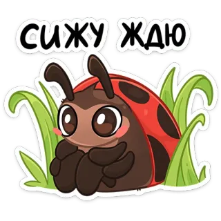 Маюша :: @stickroom telegram stickers