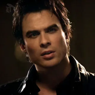 🍸 Damon Salvatore The Vampire Diaries Vampier, TV Serie, Fantasy, Drama, Bovennatuurlijk telegram sticker