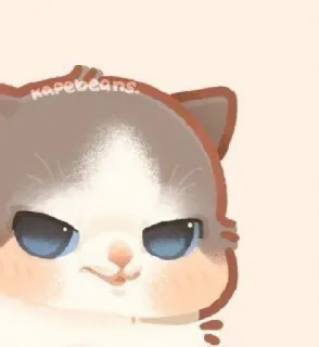 🐱 kapebeans chat, mignon, kawaii, animal, autocollant telegram sticker