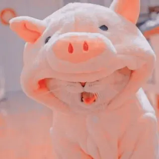 🐷 gato, porco, animal de estimação, animal, fofo, gatinho, fantasia telegram sticker