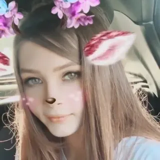 🙃 filtre, selfie, femme, mignon, visage, oreilles, fleurs telegram sticker