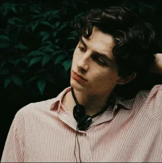 🖤 Timothée Chalamet actor, portrait, celebrity, man telegram sticker