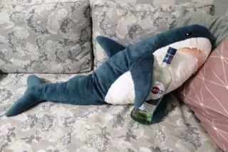 🍸 shark, plush, martini, alcohol, toy, blue, couch whatsapp sticker