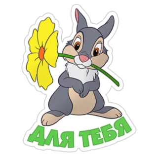 🌼 ДЛЯ ТЕБЯ กระต่าย, ดอกไม้, การ์ตูน, น่ารัก, ของขวัญ telegram sticker