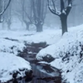 🌨