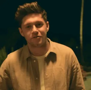 🍕 Niall Horan Niall Horan, cantante, celebridad, hombre, estrella pop telegram sticker