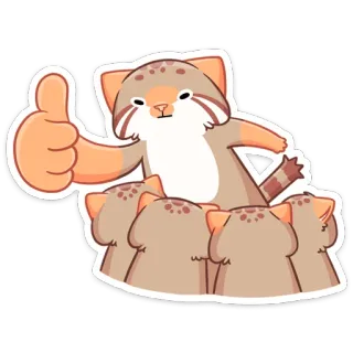 👍 gato, animal, lindo, manul, pulgar arriba, aprobación telegram sticker