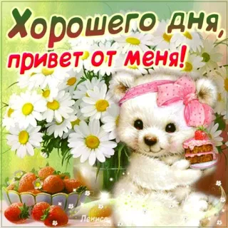 🐻 Хорошего дня, привет от меня! good day, greeting, flowers, bear, cake, strawberries telegram sticker